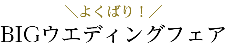 よくばり！Bigウェディングフェア