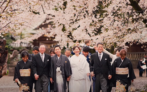 満開の桜の下で