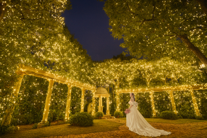 冬季限定イルミネーション「Twinkle Garden Wedding」開催