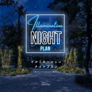 StudioMerlin【冬季限定】イルミネーションナイトプランご予約スタート