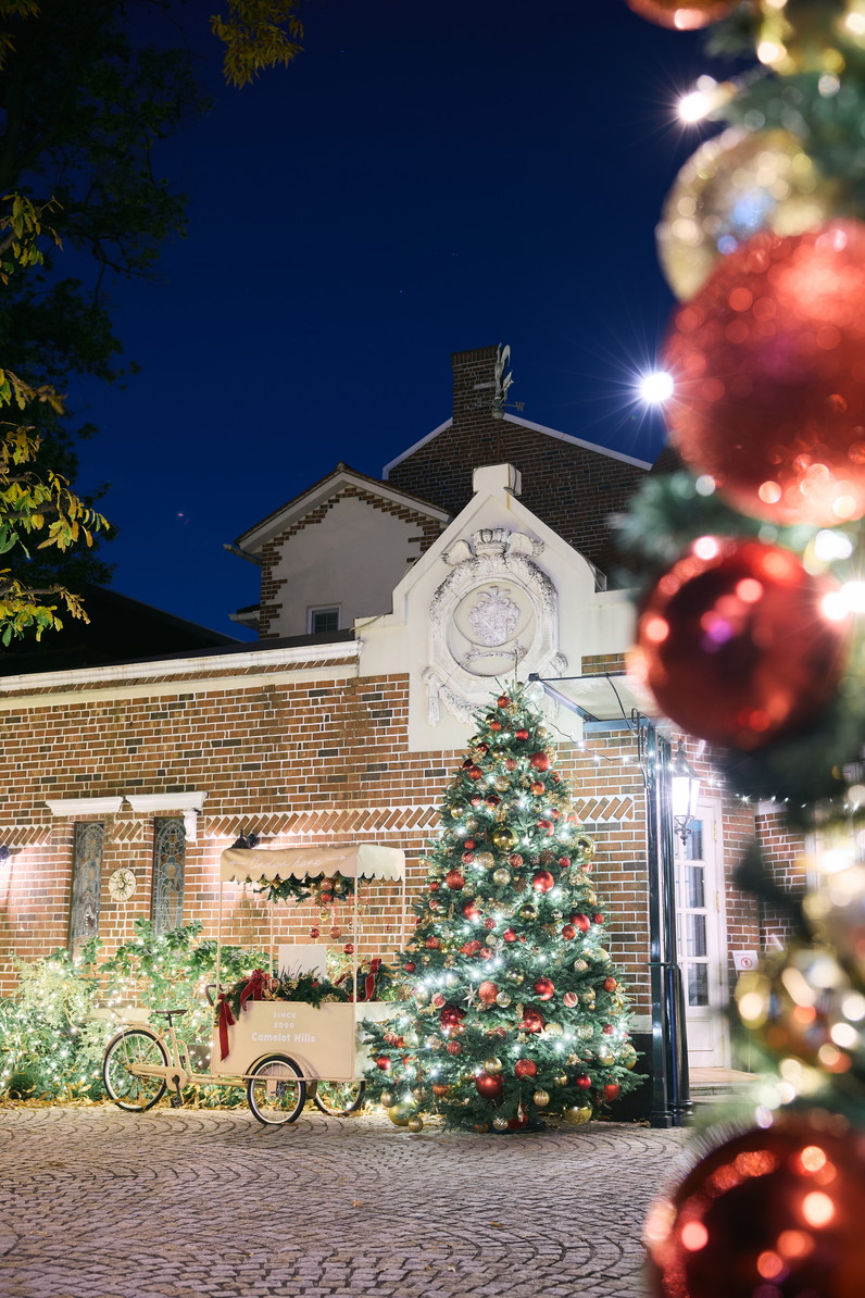 【11/30申込締切】2026年3月迄の挙式限定！駆け込み婚相談会フェア☆25周年記念「40名120万」プラン適用＆A5和牛試食＆アマギフ1万円付